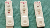 covid-19 test-5902834 1280